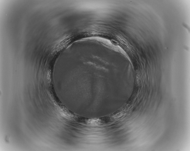 X0000094940410200712201119