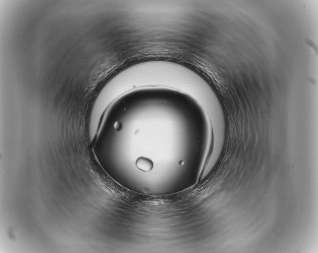 X0000094940411200712201119