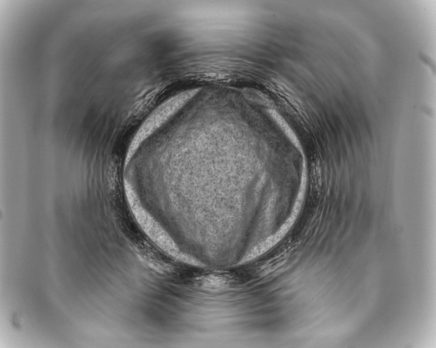 X0000094940412200712201119