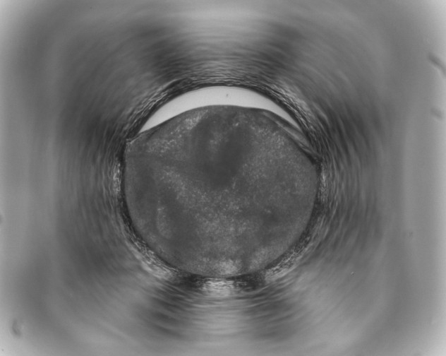 X0000094940413200712201119