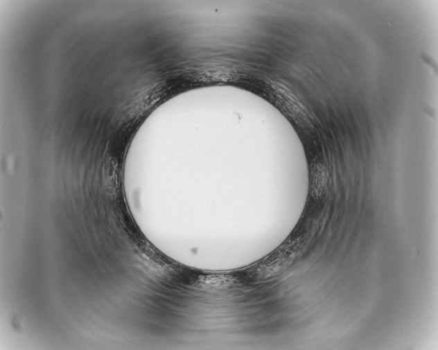 X0000094940414200712201119