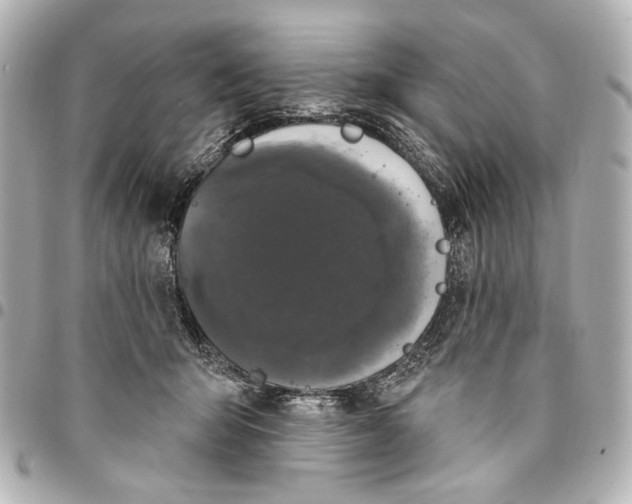 X0000094940415200712201119