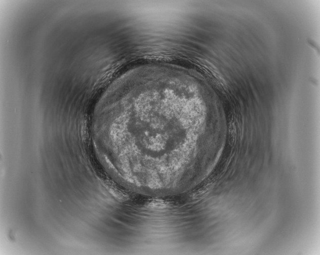 X0000094940416200712201119