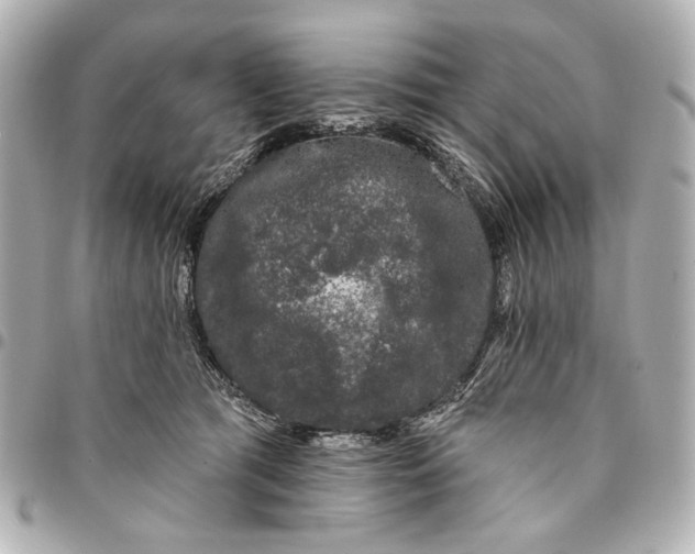 X0000094940417200712201119