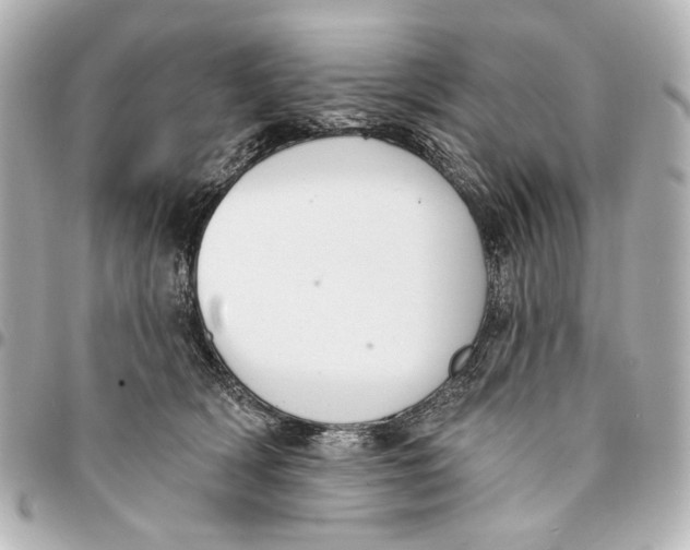 X0000094940418200712201119