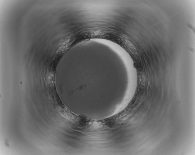 X0000094940419200712201119