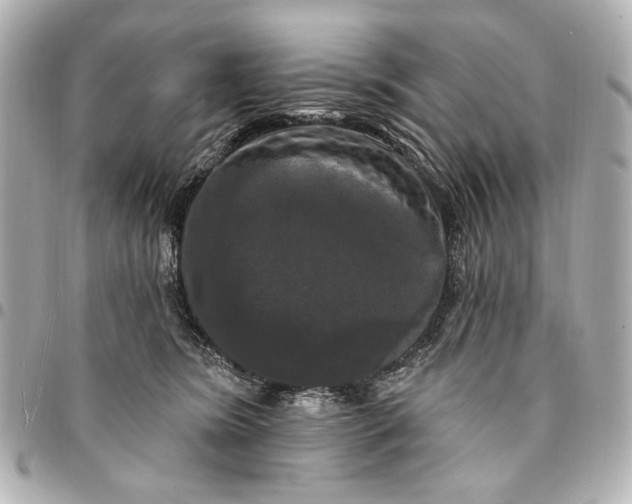 X0000094940420200712201119