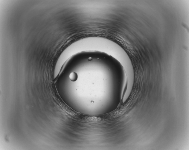 X0000094940421200712201119