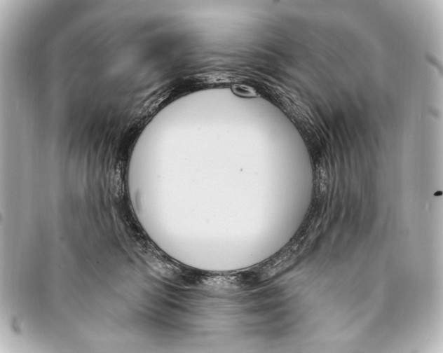 X0000094940422200712201119