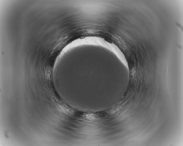 X0000094940423200712201119