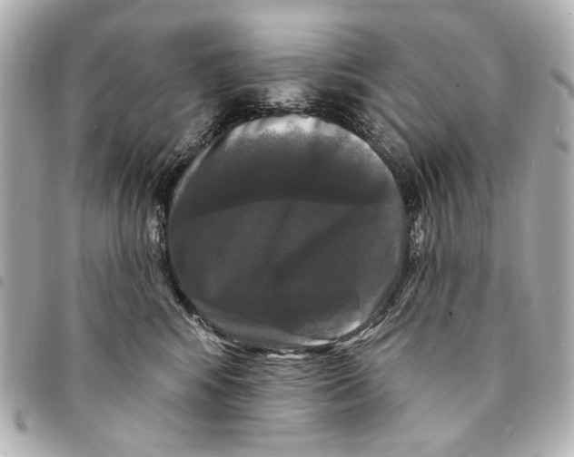 X0000094940424200712201119