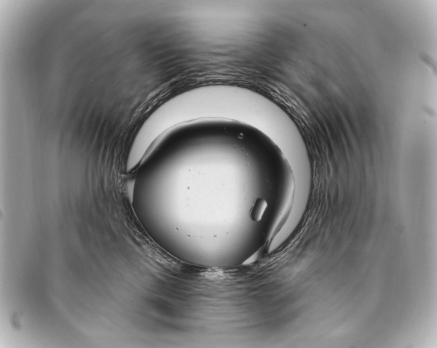 X0000094940425200712201119