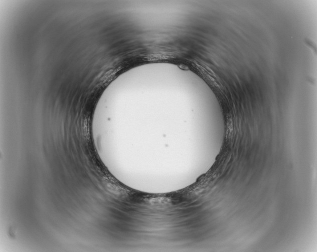 X0000094940426200712201119