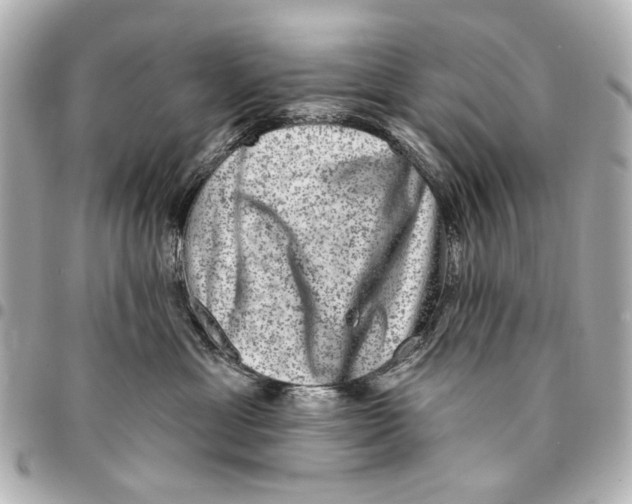 X0000094940429200712201119