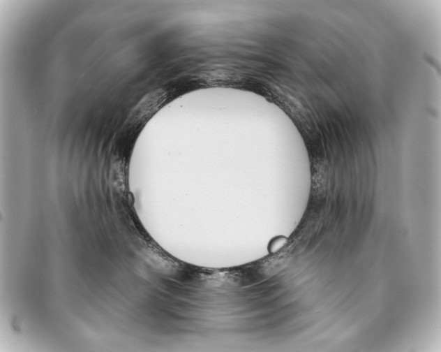 X0000094940430200712201119