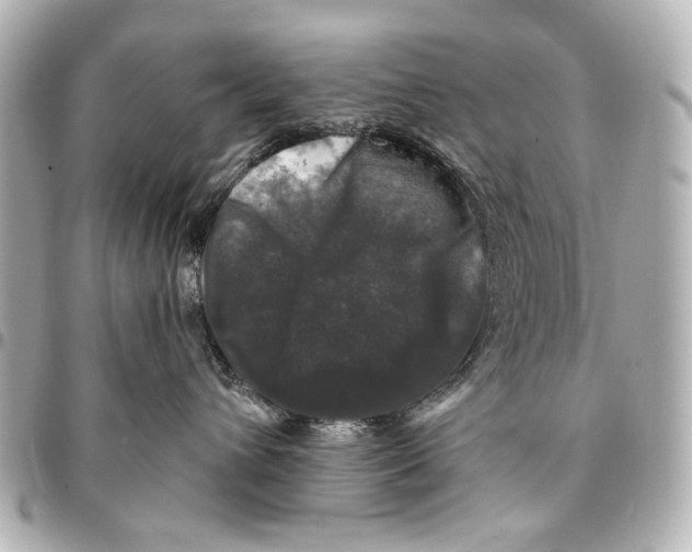 X0000094940432200712201119