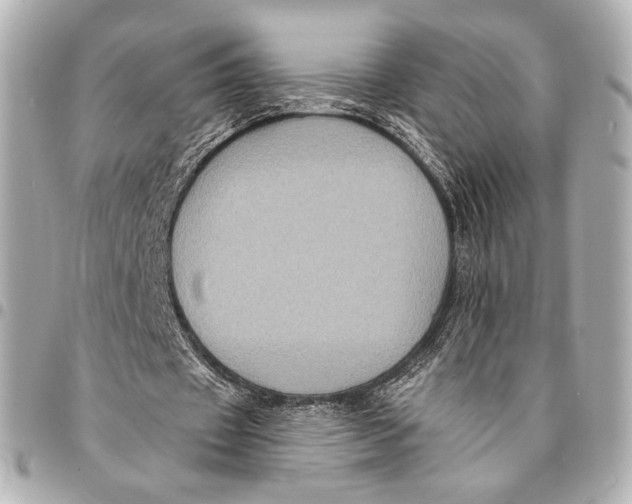 X0000094940433200712201118