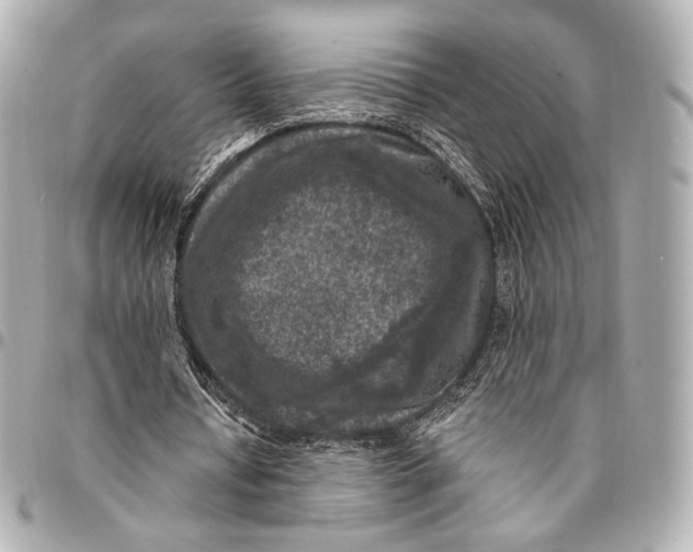 X0000094940434200712201118