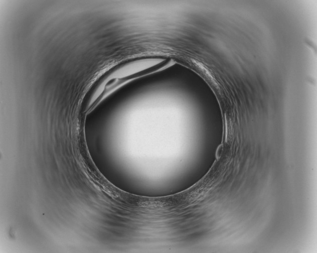 X0000094940435200712201118