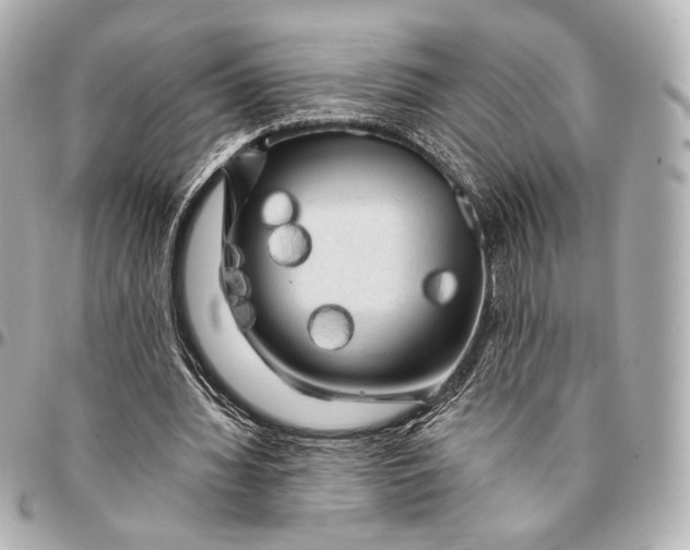 X0000094940436200712201118