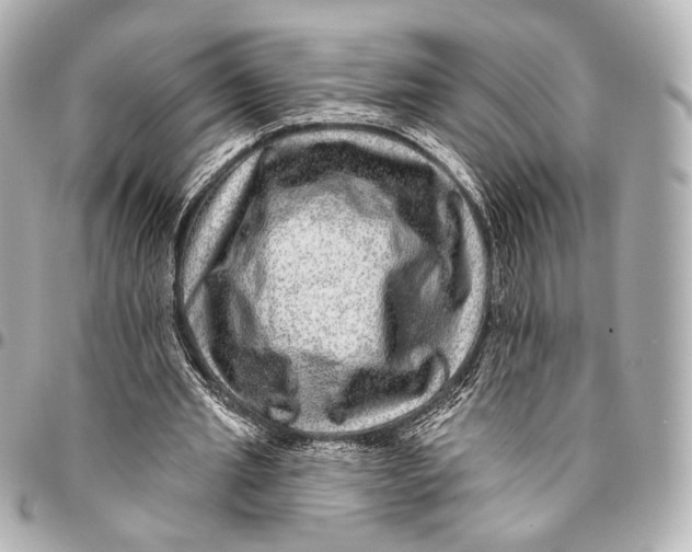 X0000094940437200712201118