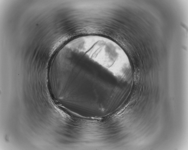 X0000094940438200712201118