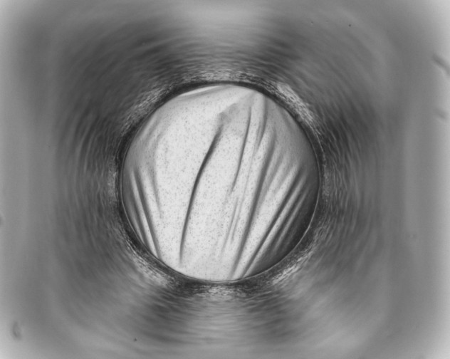 X0000094940441200712201118