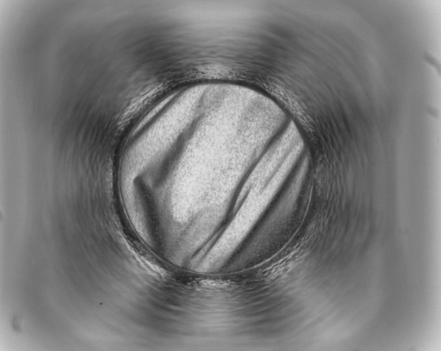 X0000094940442200712201118