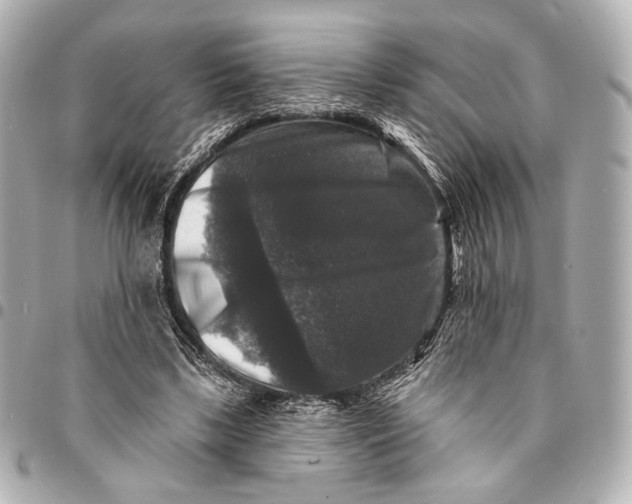 X0000094940443200712201118