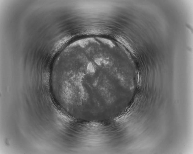 X0000094940444200712201118