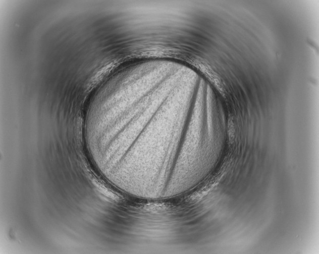 X0000094940445200712201118