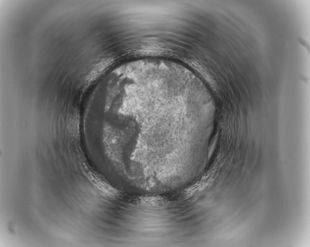 X0000094940446200712201118