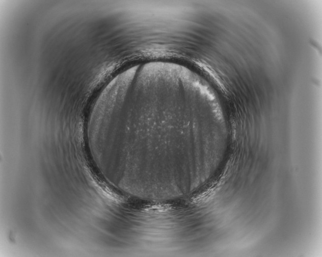 X0000094940447200712201118