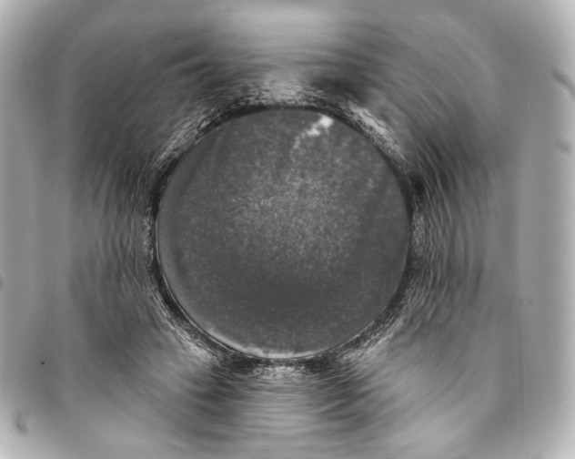 X0000094940449200712201118