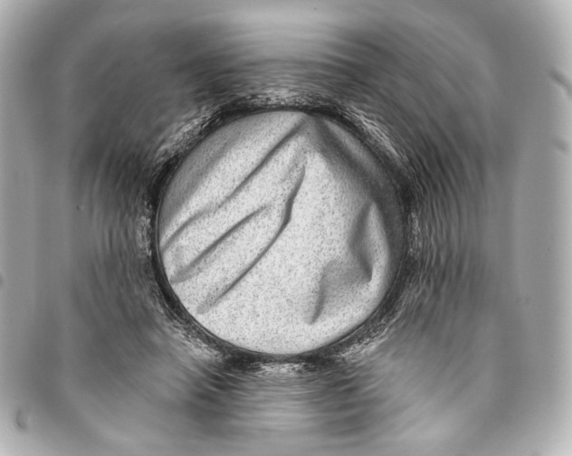 X0000094940450200712201118