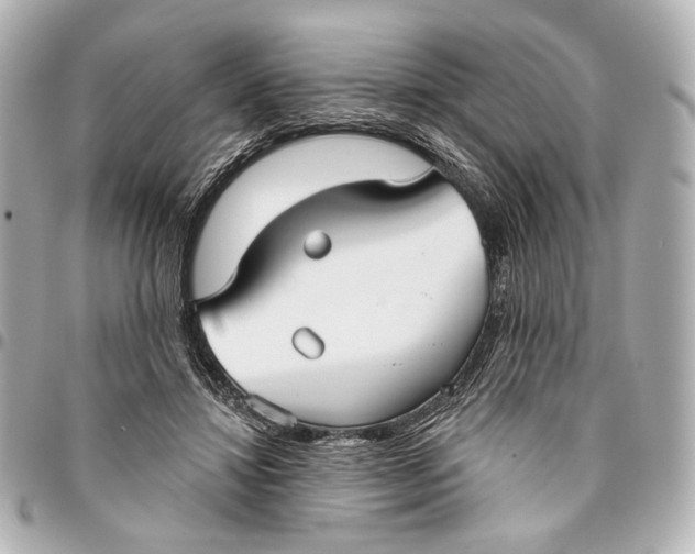 X0000094940452200712201118