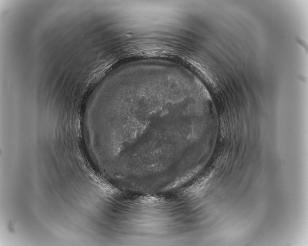 X0000094940453200712201118