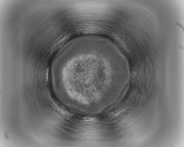 X0000094940454200712201118