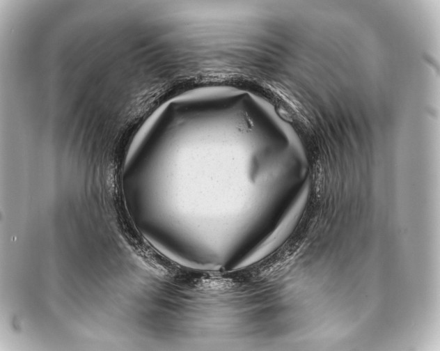 X0000094940455200712201118