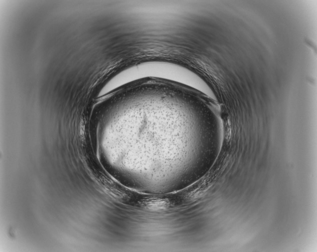 X0000094940456200712201118