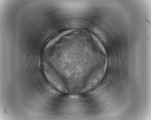 X0000094940457200712201118