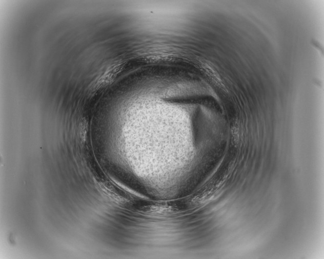 X0000094940458200712201118