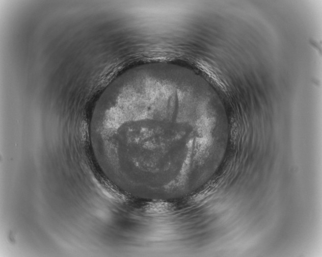 X0000094940459200712201118