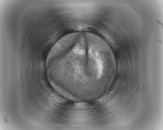 X0000094940461200712201118