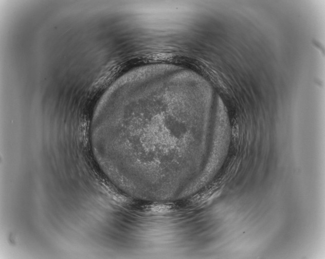 X0000094940462200712201118