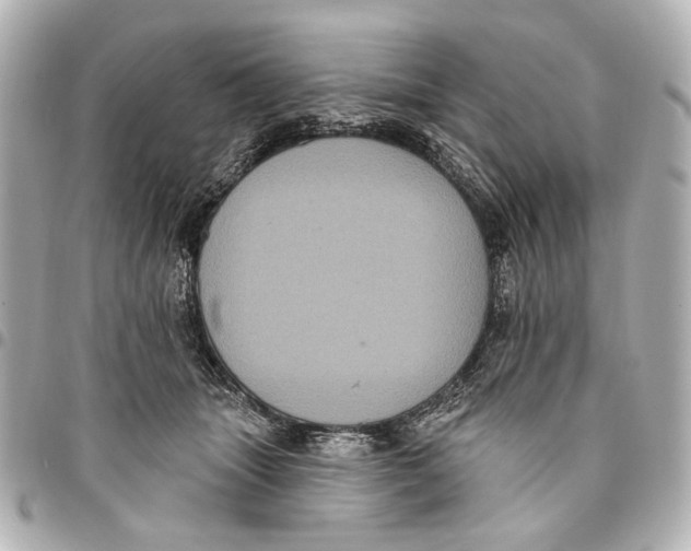 X0000094940463200712201118