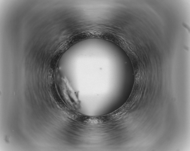 X0000094940464200712201118