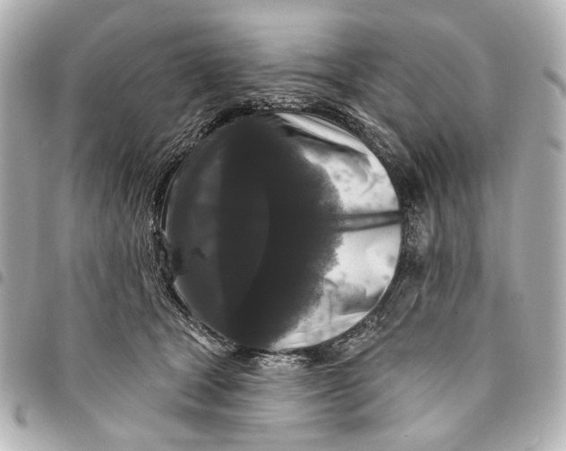 X0000094940465200712201118