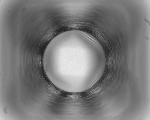 X0000094940466200712201118