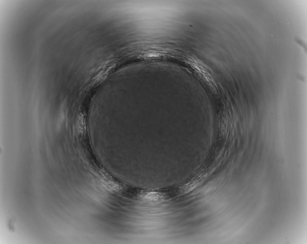 X0000094940467200712201118